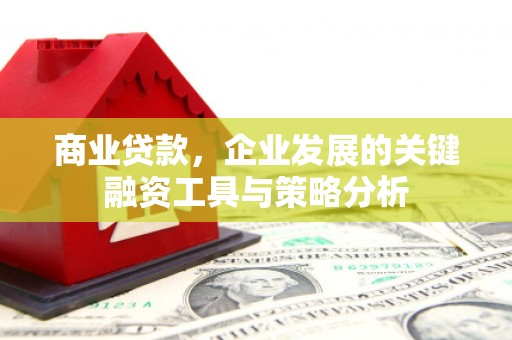 大宁商业贷款，企业发展的关键融资工具与策略分析