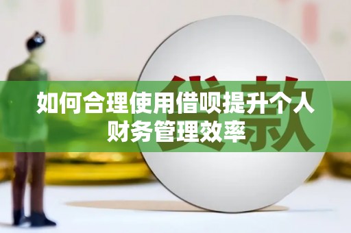 大宁如何合理使用借呗提升个人财务管理效率