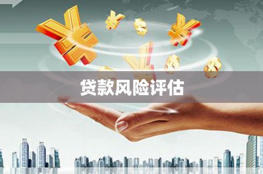 大宁贷款风险评估