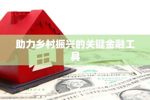 大宁助力乡村振兴的关键金融工具