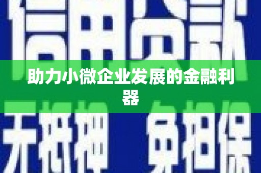 大宁助力小微企业发展的金融利器