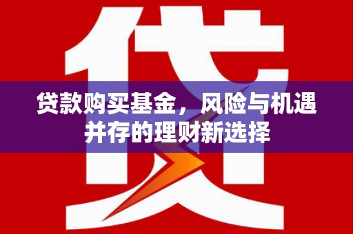 大宁贷款购买基金，风险与机遇并存的理财新选择