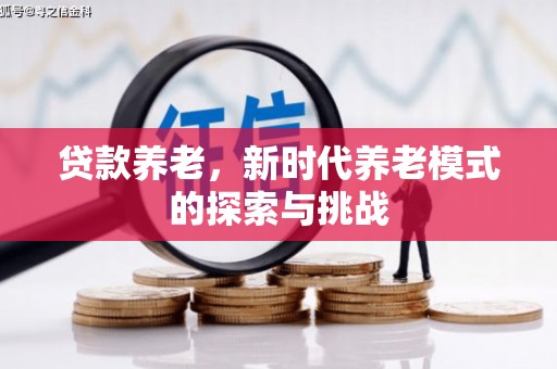 大宁贷款养老，新时代养老模式的探索与挑战