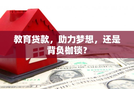 大宁教育贷款，助力梦想，还是背负枷锁？