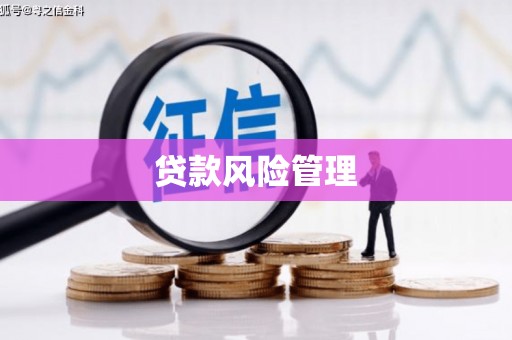 大宁贷款风险管理