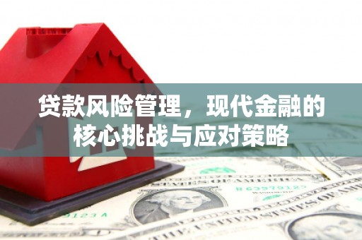 大宁贷款风险管理，现代金融的核心挑战与应对策略