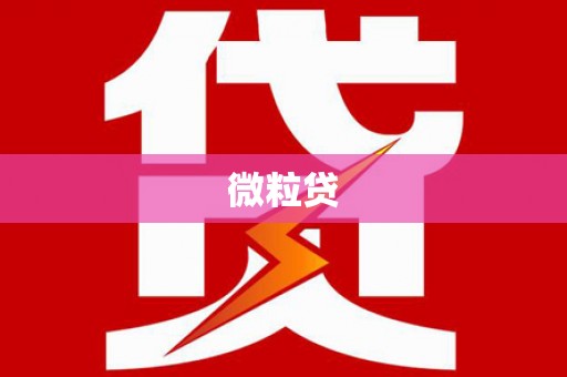 大宁微粒贷