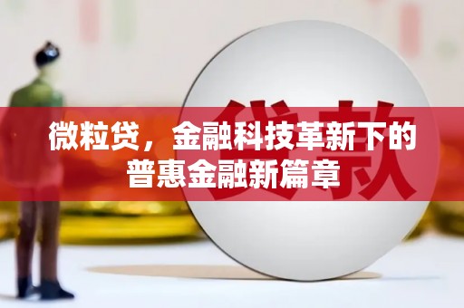大宁微粒贷，金融科技革新下的普惠金融新篇章