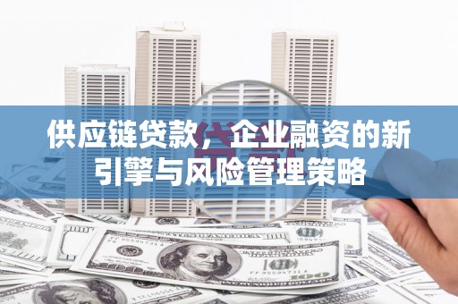 大宁供应链贷款，企业融资的新引擎与风险管理策略