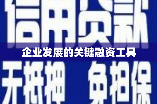 大宁企业发展的关键融资工具