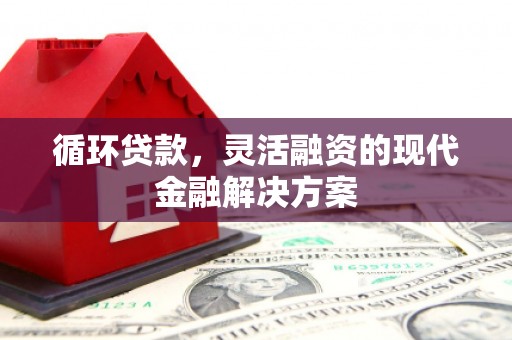 大宁循环贷款，灵活融资的现代金融解决方案
