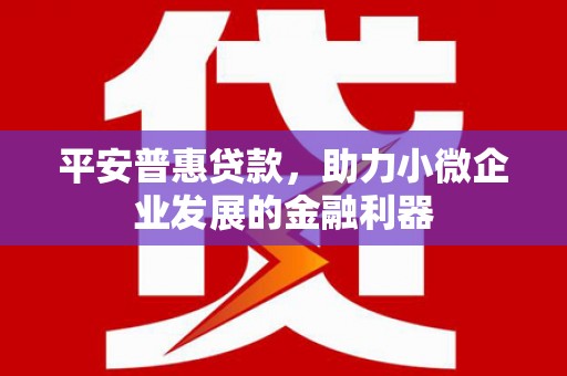 大宁平安普惠贷款，助力小微企业发展的金融利器