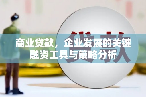 大宁商业贷款，企业发展的关键融资工具与策略分析