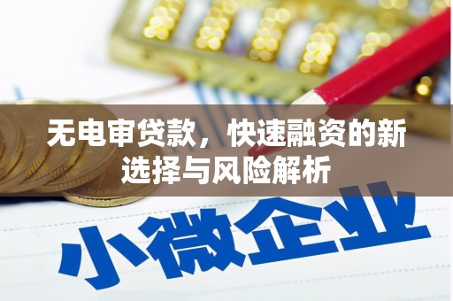 大宁无电审贷款，快速融资的新选择与风险解析