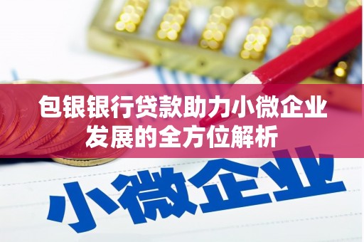 大宁包银银行贷款助力小微企业发展的全方位解析