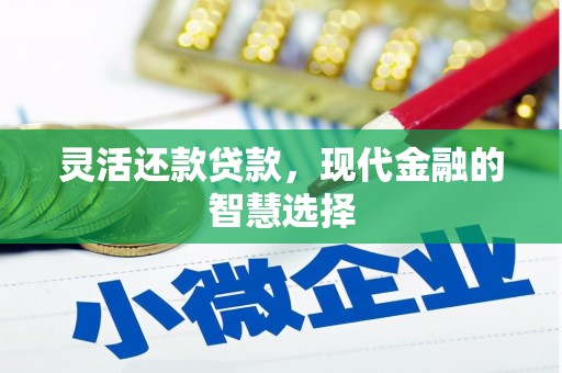 大宁灵活还款贷款，现代金融的智慧选择