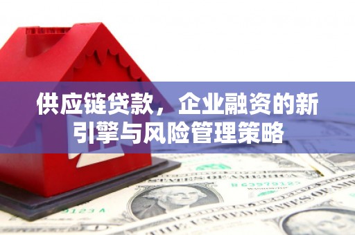 大宁供应链贷款，企业融资的新引擎与风险管理策略