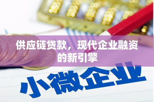 大宁供应链贷款，现代企业融资的新引擎