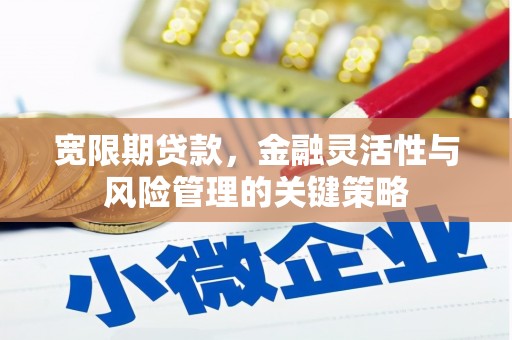 大宁宽限期贷款，金融灵活性与风险管理的关键策略