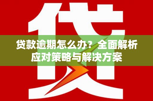 大宁贷款逾期怎么办？全面解析应对策略与解决方案