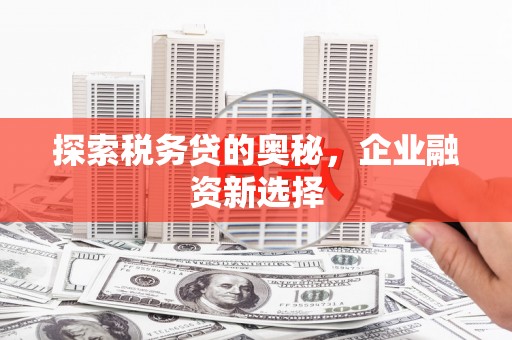 大宁探索税务贷的奥秘，企业融资新选择