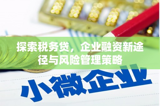大宁探索税务贷，企业融资新途径与风险管理策略