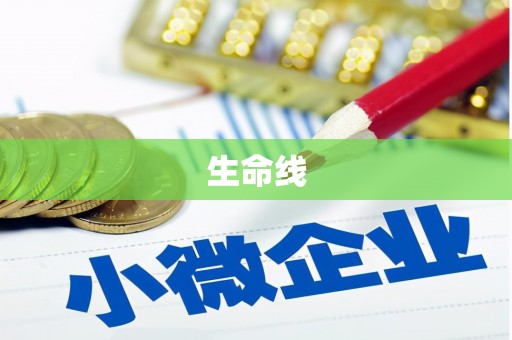 大宁生命线