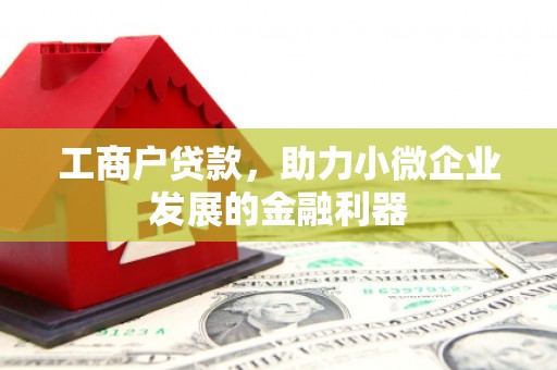 大宁工商户贷款，助力小微企业发展的金融利器