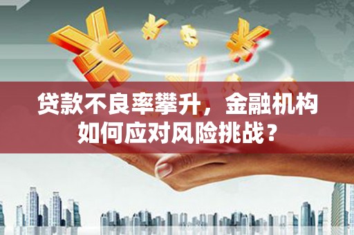 大宁贷款不良率攀升，金融机构如何应对风险挑战？