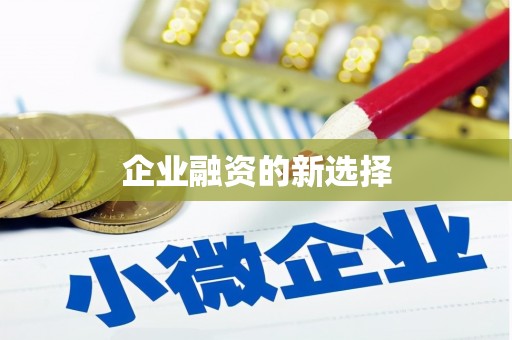 大宁企业融资的新选择