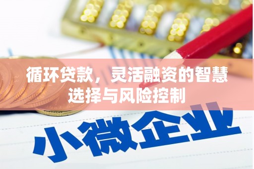 大宁循环贷款，灵活融资的智慧选择与风险控制
