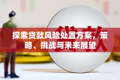 大宁探索贷款风险处置方案，策略、挑战与未来展望