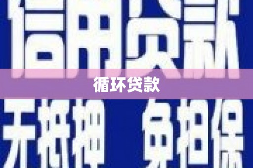 大宁循环贷款