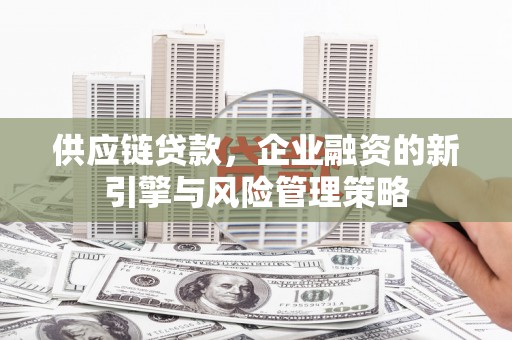 大宁供应链贷款，企业融资的新引擎与风险管理策略