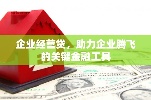 大宁企业经营贷，助力企业腾飞的关键金融工具