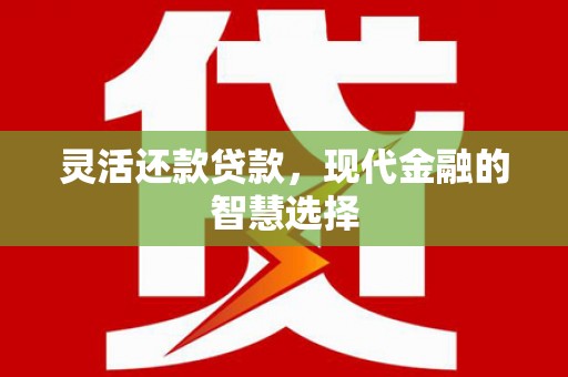 大宁灵活还款贷款，现代金融的智慧选择