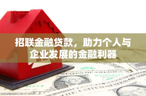 大宁招联金融贷款，助力个人与企业发展的金融利器