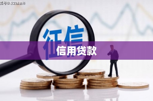 大宁信用贷款