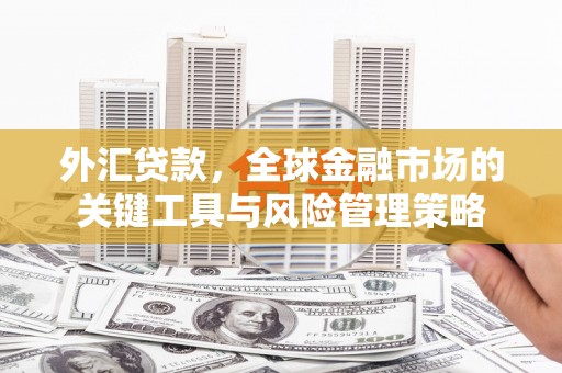大宁外汇贷款，全球金融市场的关键工具与风险管理策略