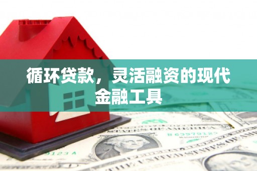 大宁循环贷款，灵活融资的现代金融工具