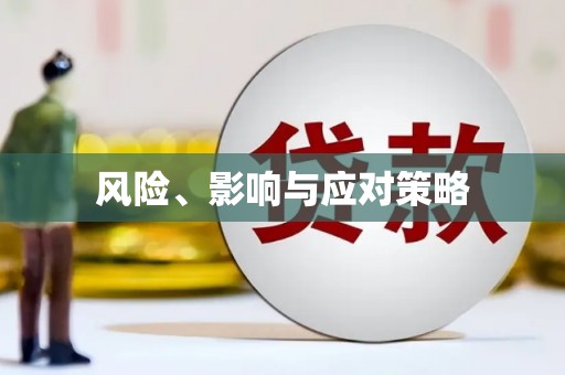 大宁风险、影响与应对策略