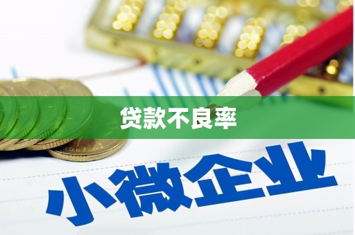 大宁贷款不良率