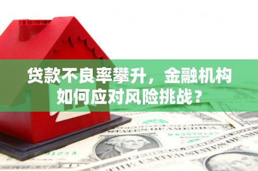 大宁贷款不良率攀升，金融机构如何应对风险挑战？