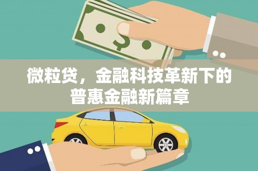 大宁微粒贷，金融科技革新下的普惠金融新篇章