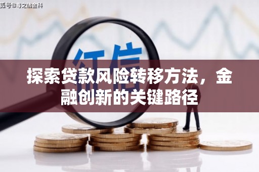 大宁探索贷款风险转移方法，金融创新的关键路径