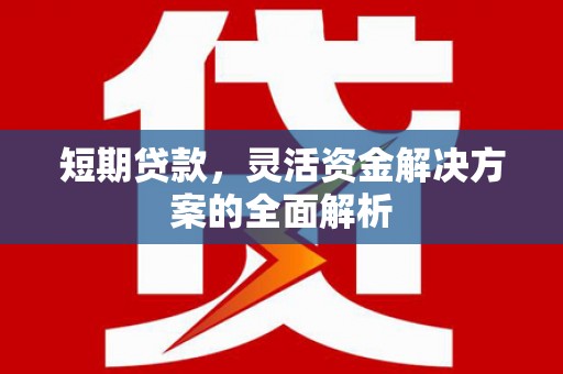 大宁短期贷款，灵活资金解决方案的全面解析