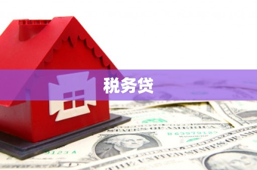大宁税务贷