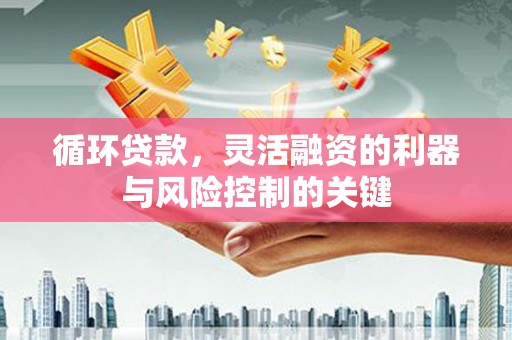 大宁循环贷款，灵活融资的利器与风险控制的关键