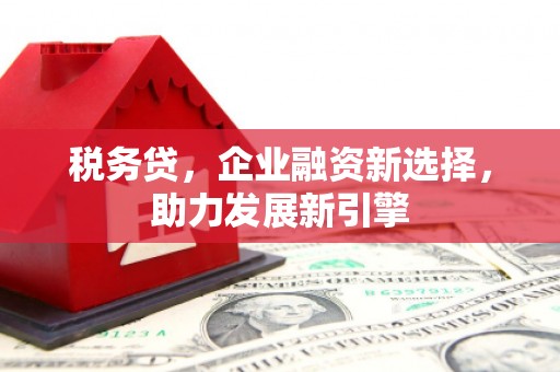 大宁税务贷，企业融资新选择，助力发展新引擎