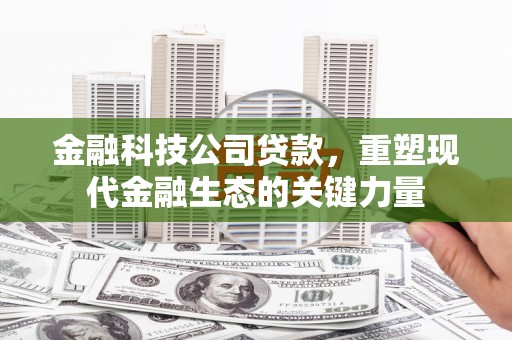 大宁金融科技公司贷款，重塑现代金融生态的关键力量